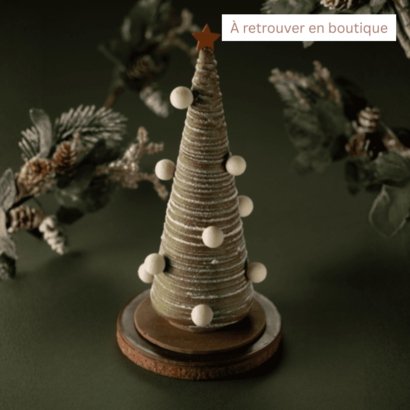 Pin à sucre - Le roi des Fôrets