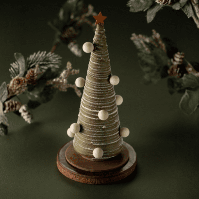 Pin à sucre - Le roi des Fôrets