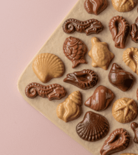 Saint Malo !🦀🌊