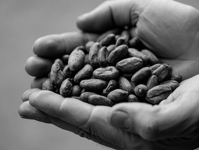 photo de fèves de cacao