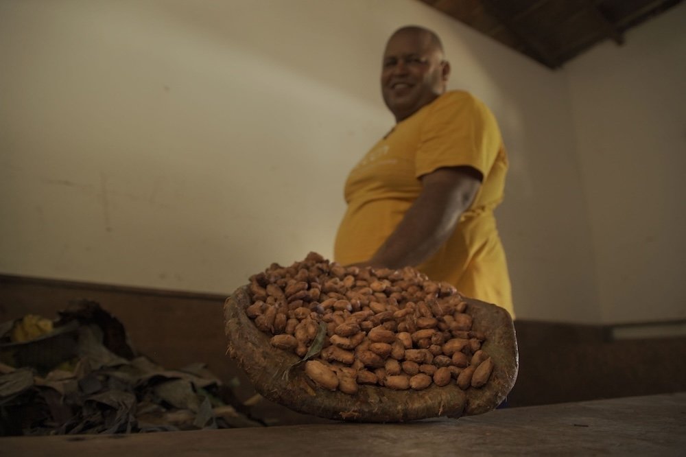 photo de fèves de cacao sur une table après la récolte