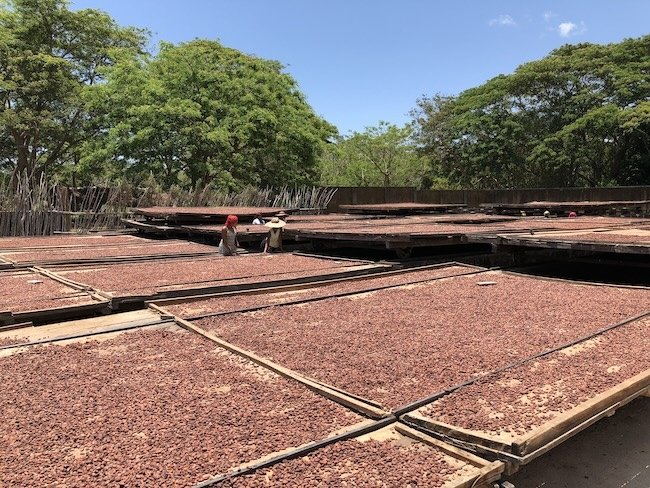 photo d’un producteur de cacao à Madagascar