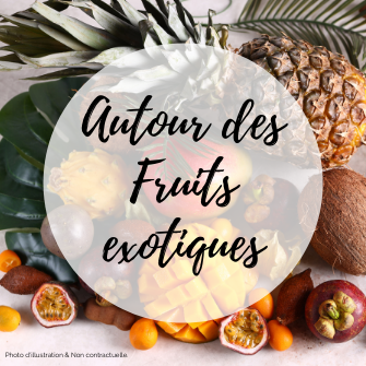 Autour des fruits exotiques - Vendredi 24 février 2023 - 16H-19H
